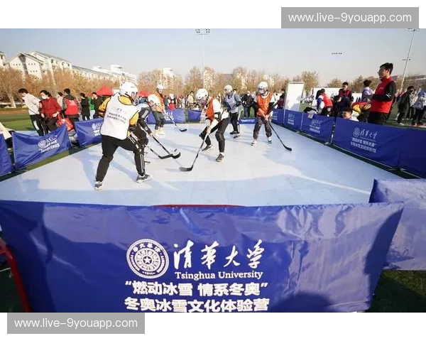 冰球直播：极速瞬间，燃动冬季之魂